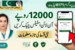 Ehsaas Program 12000 Online Check 8171 - Latest Update