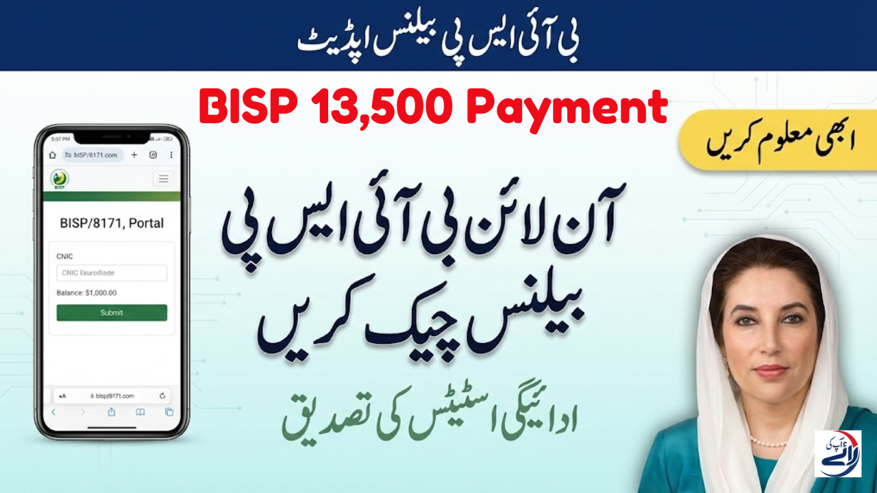 BISP Online Check Balance - How to Verify Your Payment Status