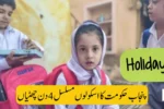 School Holidays in Lahore from 4 to 8 February - Officially Punjab Govt Announced