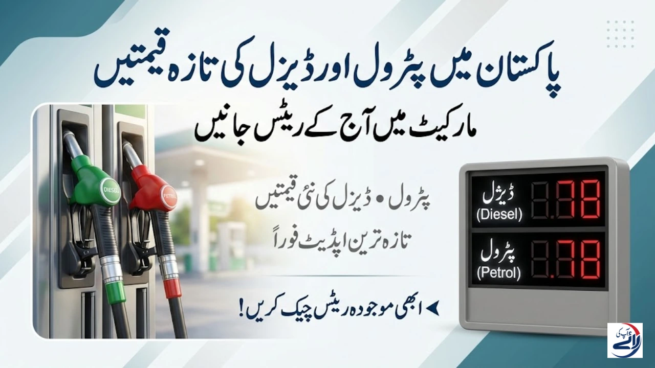 Sindh Government Announces School Holidays Across Province on February